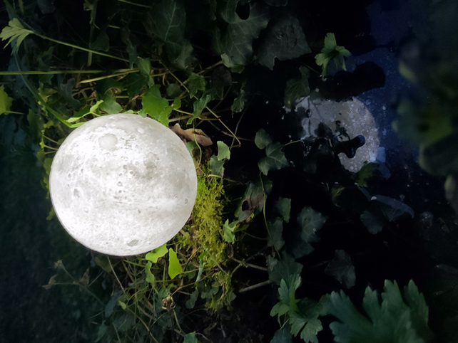 Les Contes de la Lune Folle